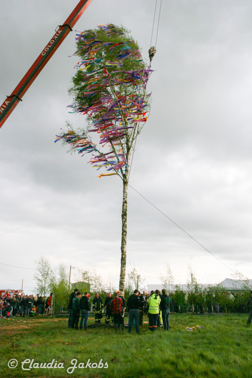 150430181612 IMG 8997