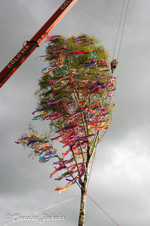 150430181646 IMG 9004