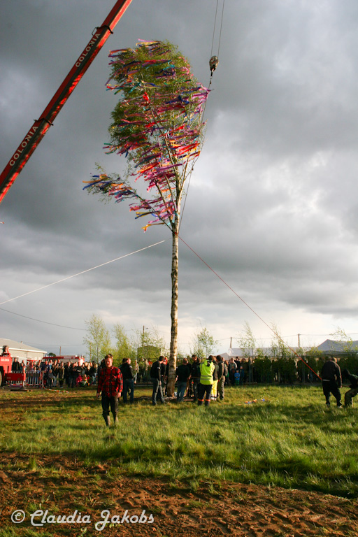 150430181733 IMG 9009