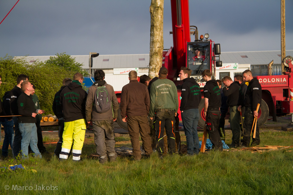 150430181800 MJ  3561