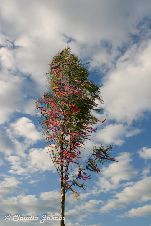 150430183320 IMG 9044