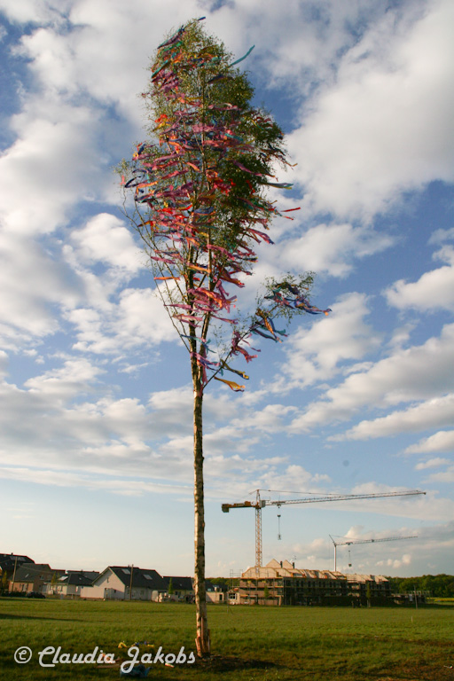 150430183323 IMG 9045