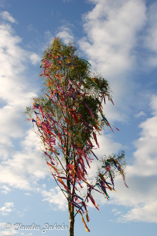 150430184809 IMG 9047