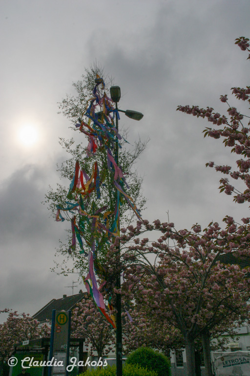 150501090021 IMG 9058