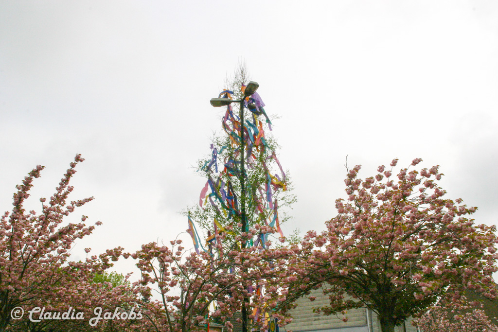 150501090055 IMG 9060