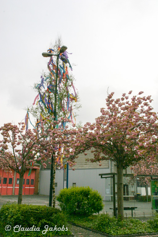 150501090104 IMG 9061