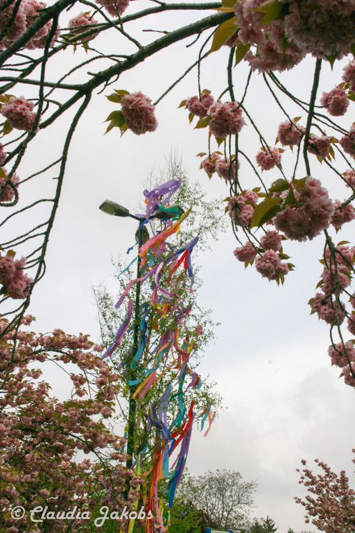 150501090150 IMG 9064