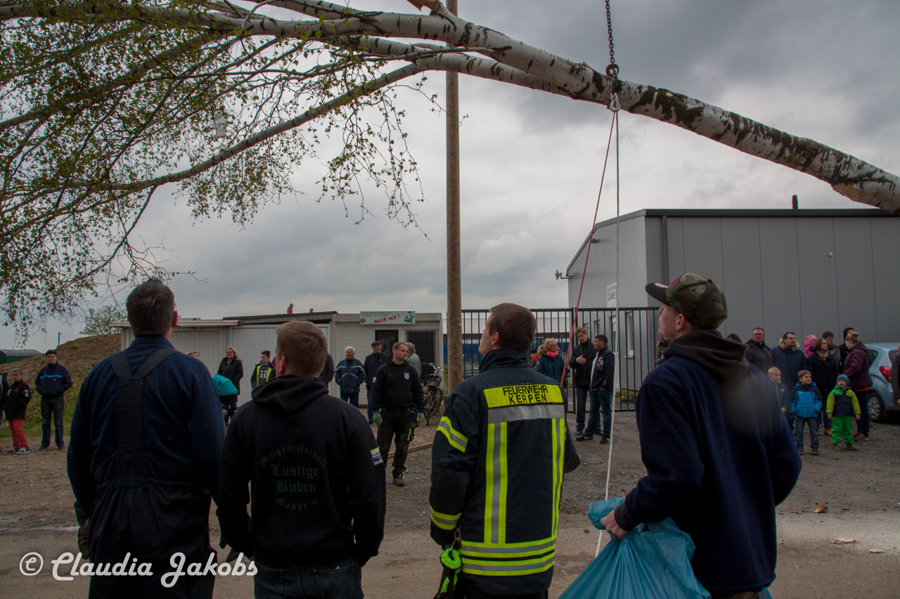 20160430165549 IMG 0333