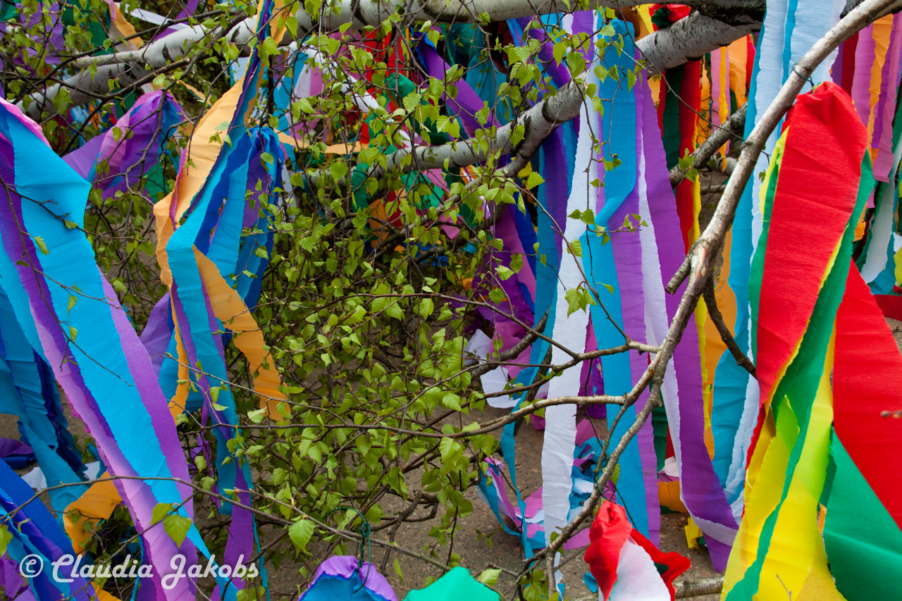 20160430170800 IMG 0379