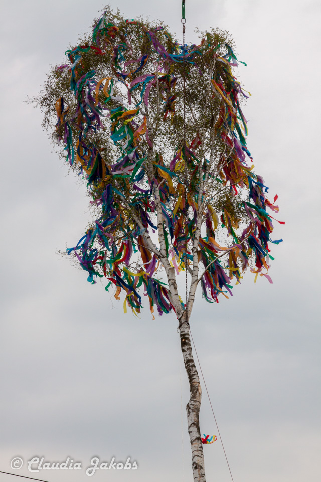 20160430172021 IMG 0406