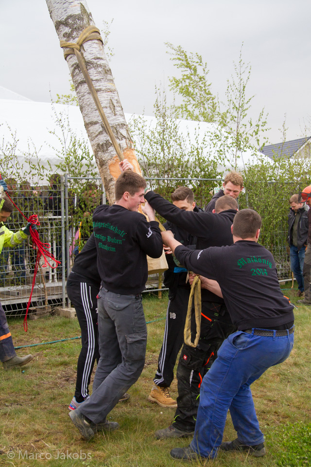 20160430172024 MJ  4375