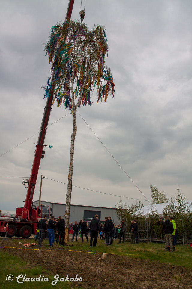 20160430172318 IMG 0441