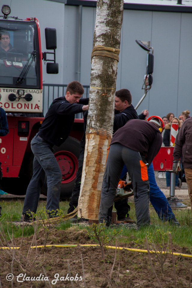 20160430172603 IMG 0449