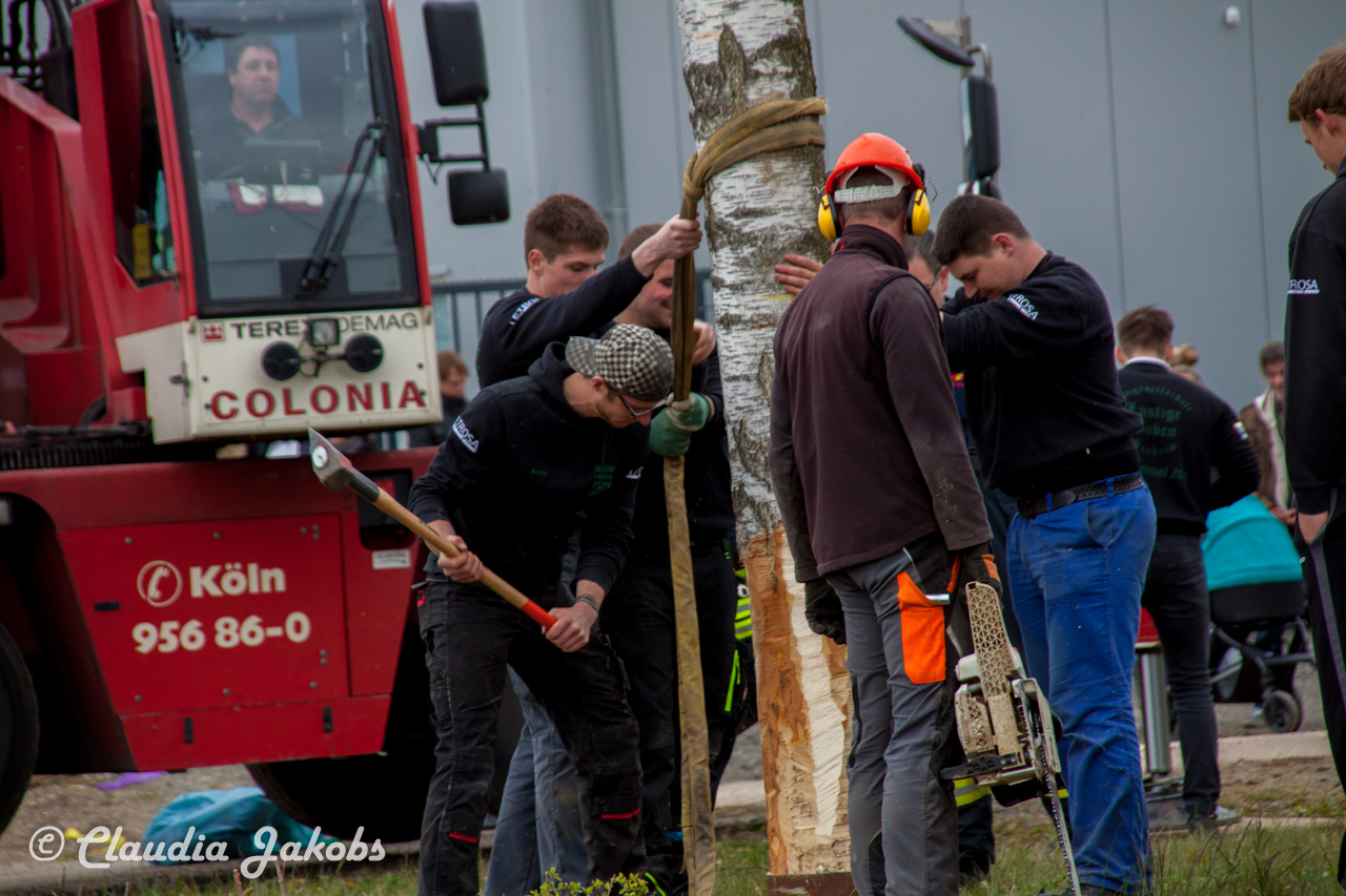 20160430172704 IMG 0456