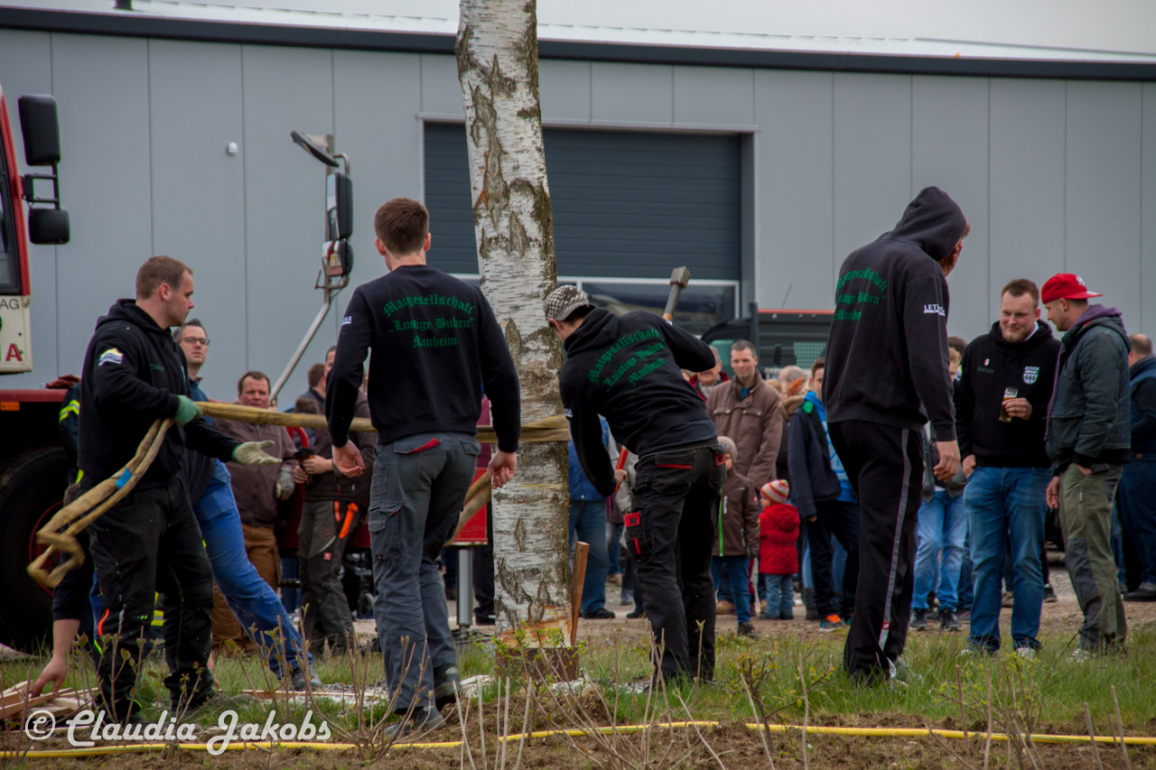 20160430173516 IMG 0484