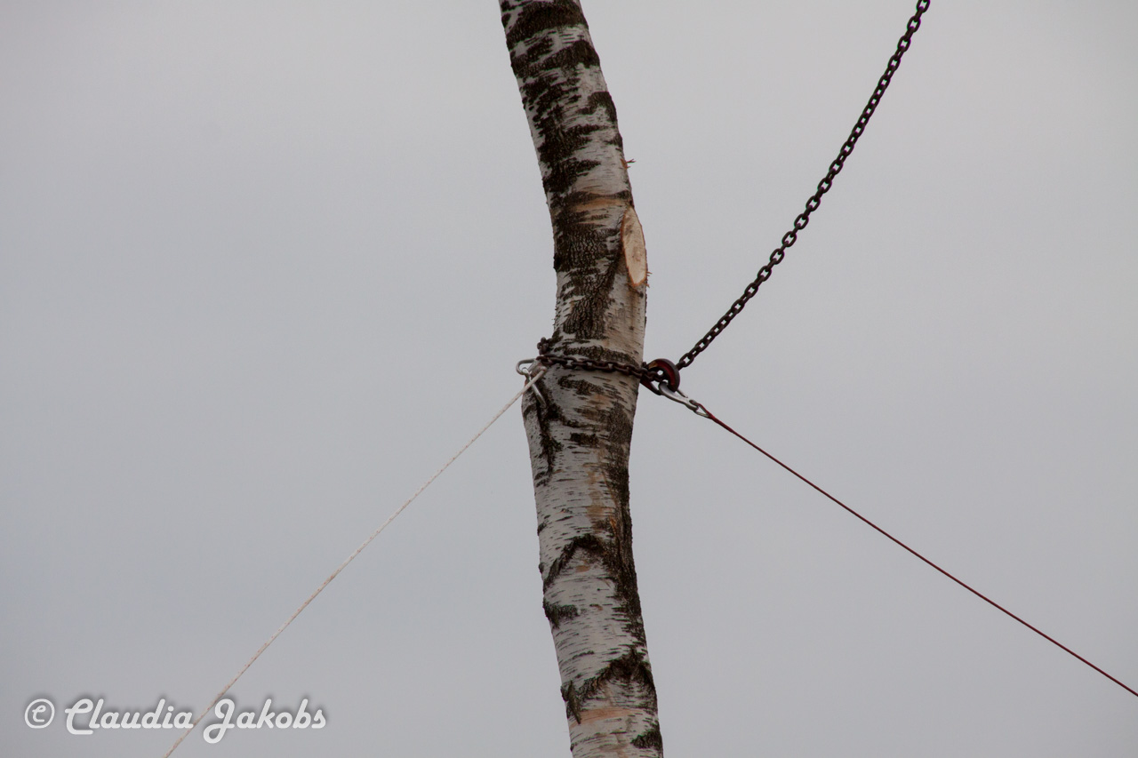 20160430173736 IMG 0486