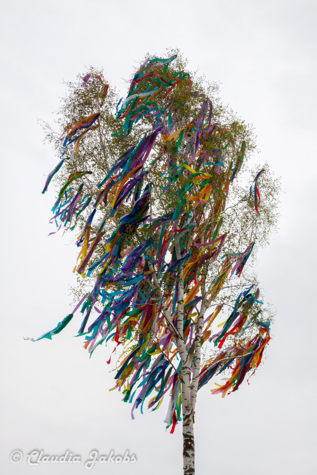 20160430174039 IMG 0493