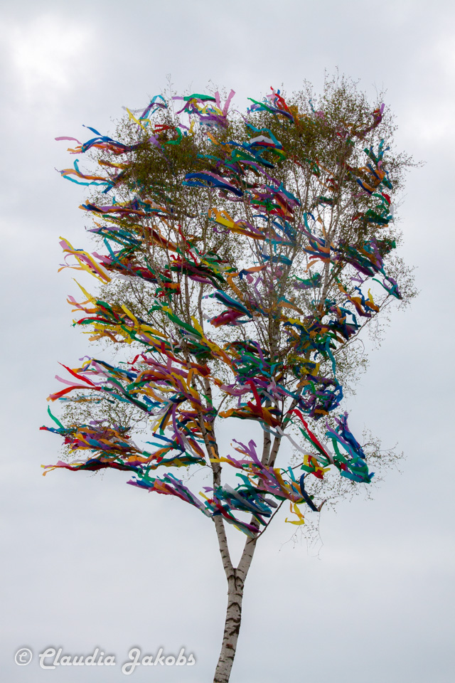 20160430181647 IMG 0499