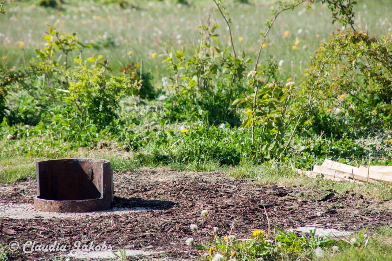 20170430170748 IMG 5776