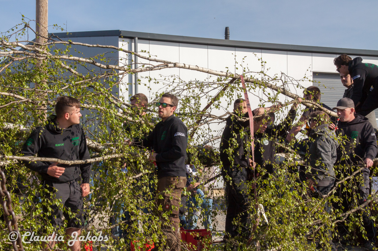 20170430174737 IMG 5799