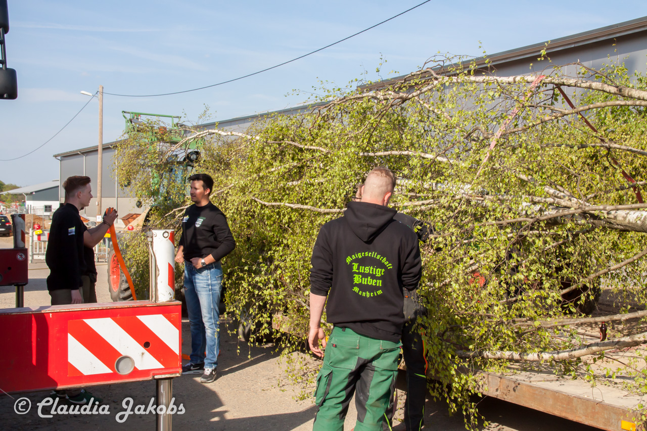 20170430174849 IMG 5810