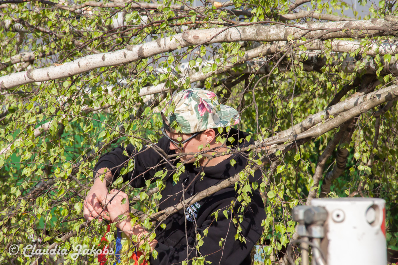 20170430175629 IMG 5837