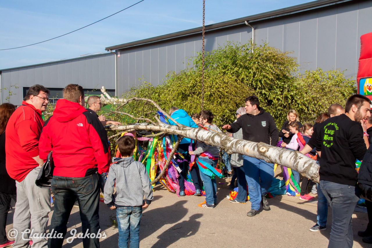 20170430180432 IMG 5857