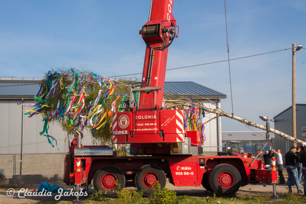 20170430181427 IMG 5869