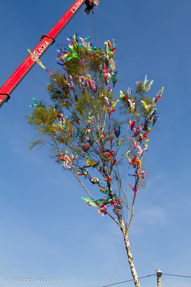 20170430181535 MJ  5610