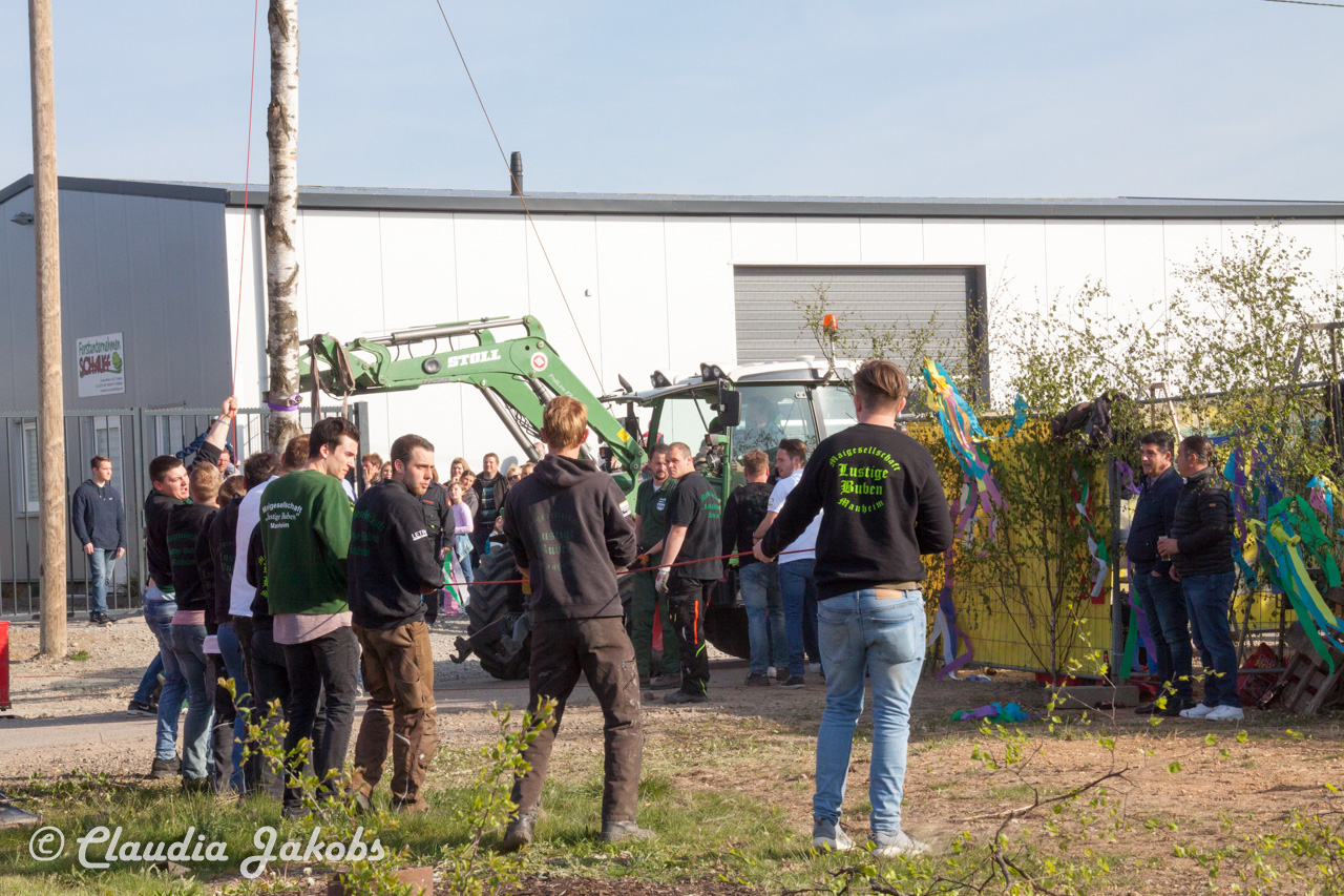 20170430181551 IMG 5882