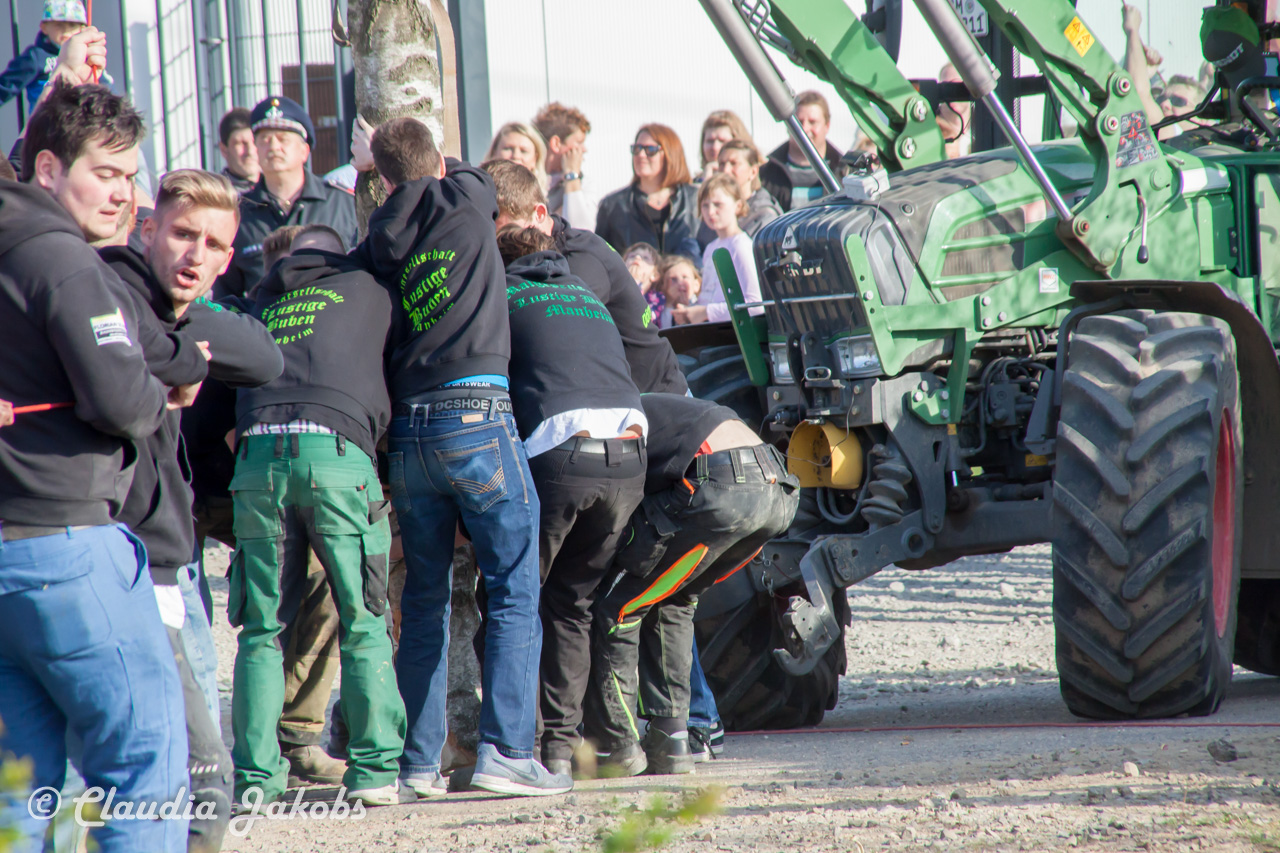 20170430181559 IMG 5883