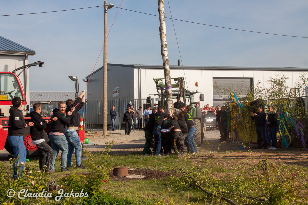 20170430181628 IMG 5889