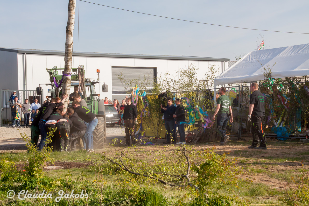 20170430181647 IMG 5891