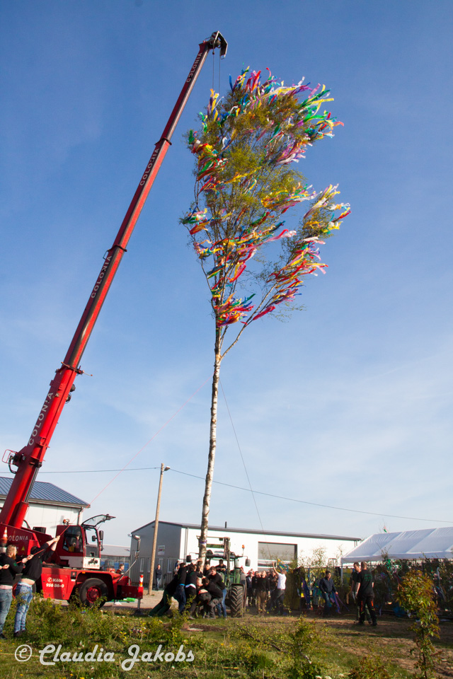 20170430181702 IMG 5893