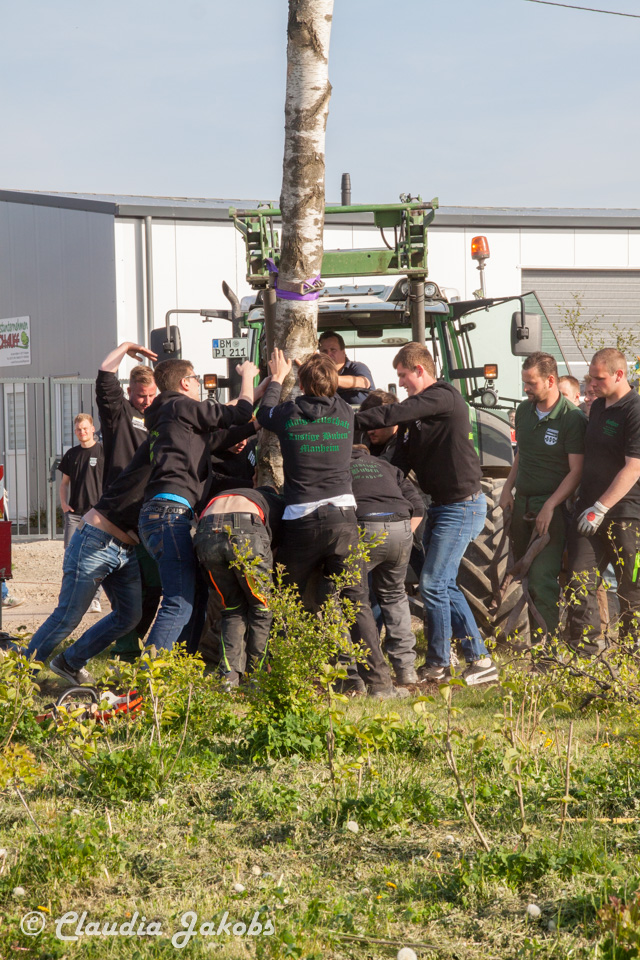 20170430181749 IMG 5903