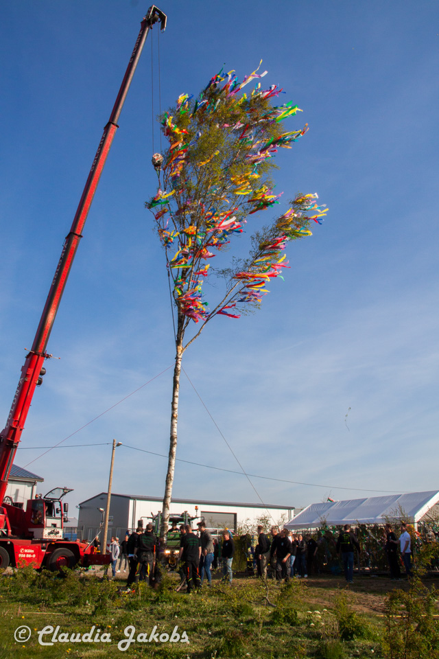 20170430181808 IMG 5908