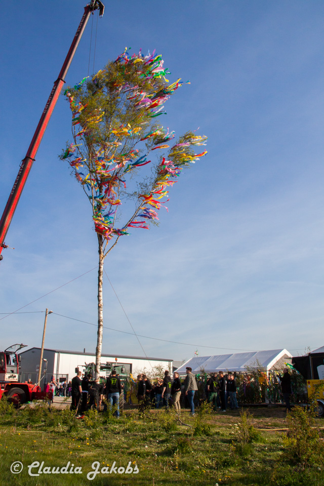 20170430181855 IMG 5914