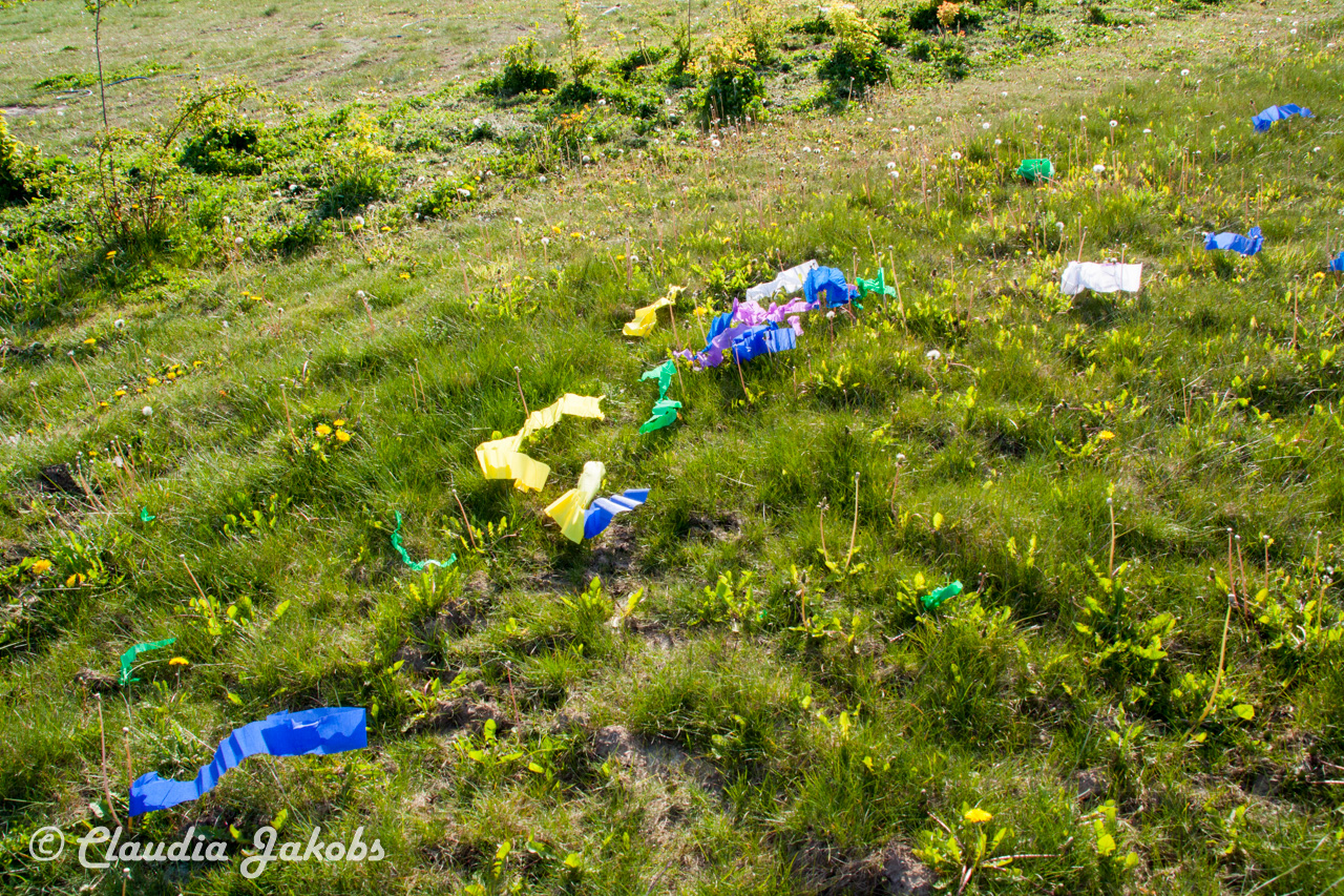 20170430181909 IMG 5915