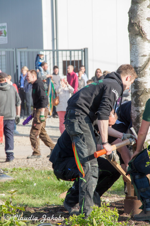 20170430181934 IMG 5917