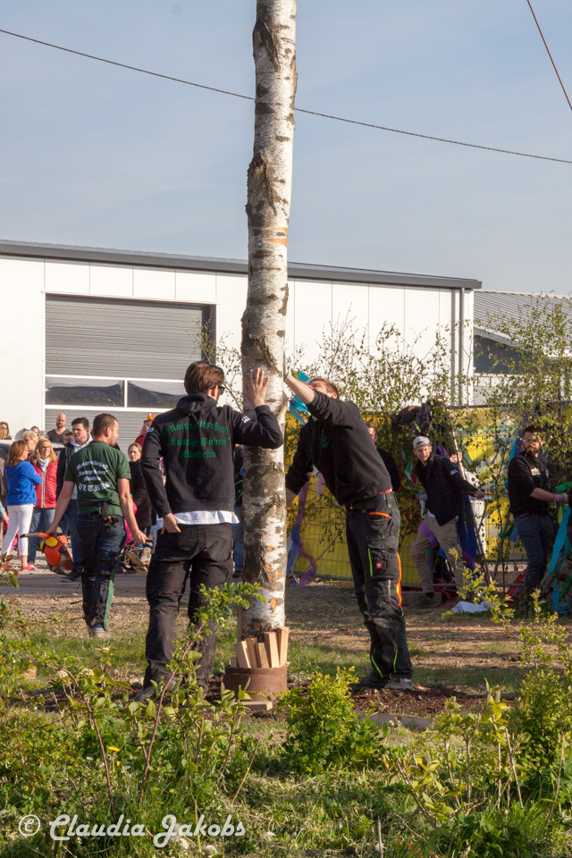 20170430182244 IMG 5935