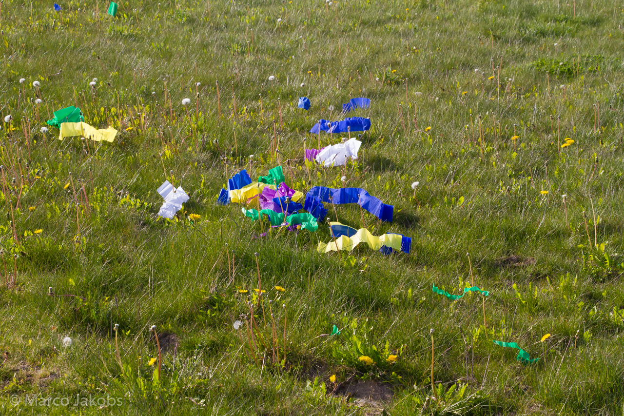 20170430182301 MJ  5633