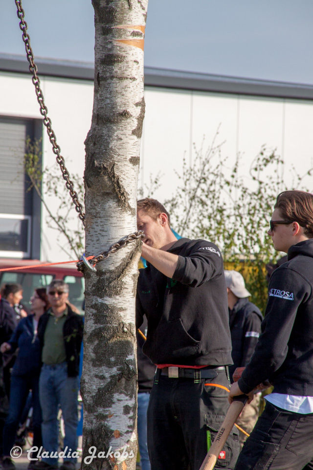 20170430182314 IMG 5937