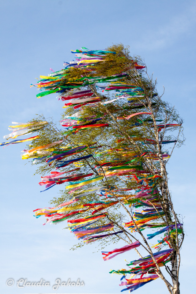 20170430185924 IMG 5970