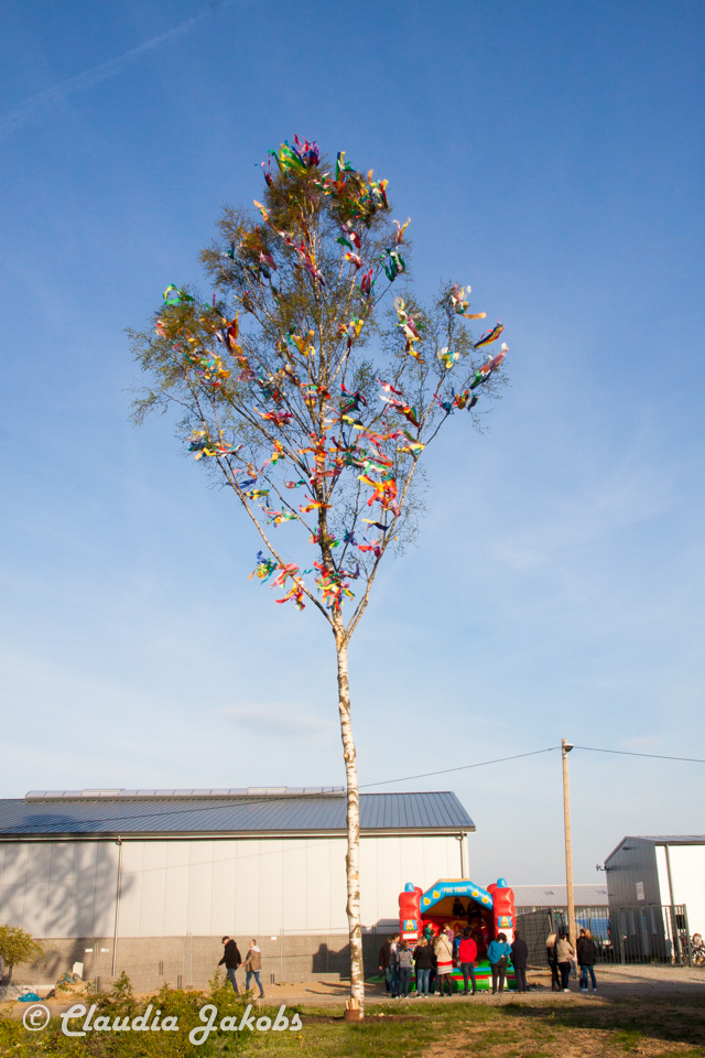 20170430192546 IMG 5972