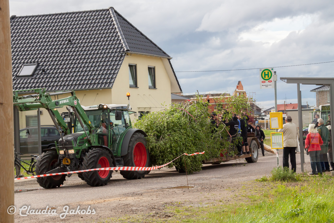 20180430175347 IMG 0796