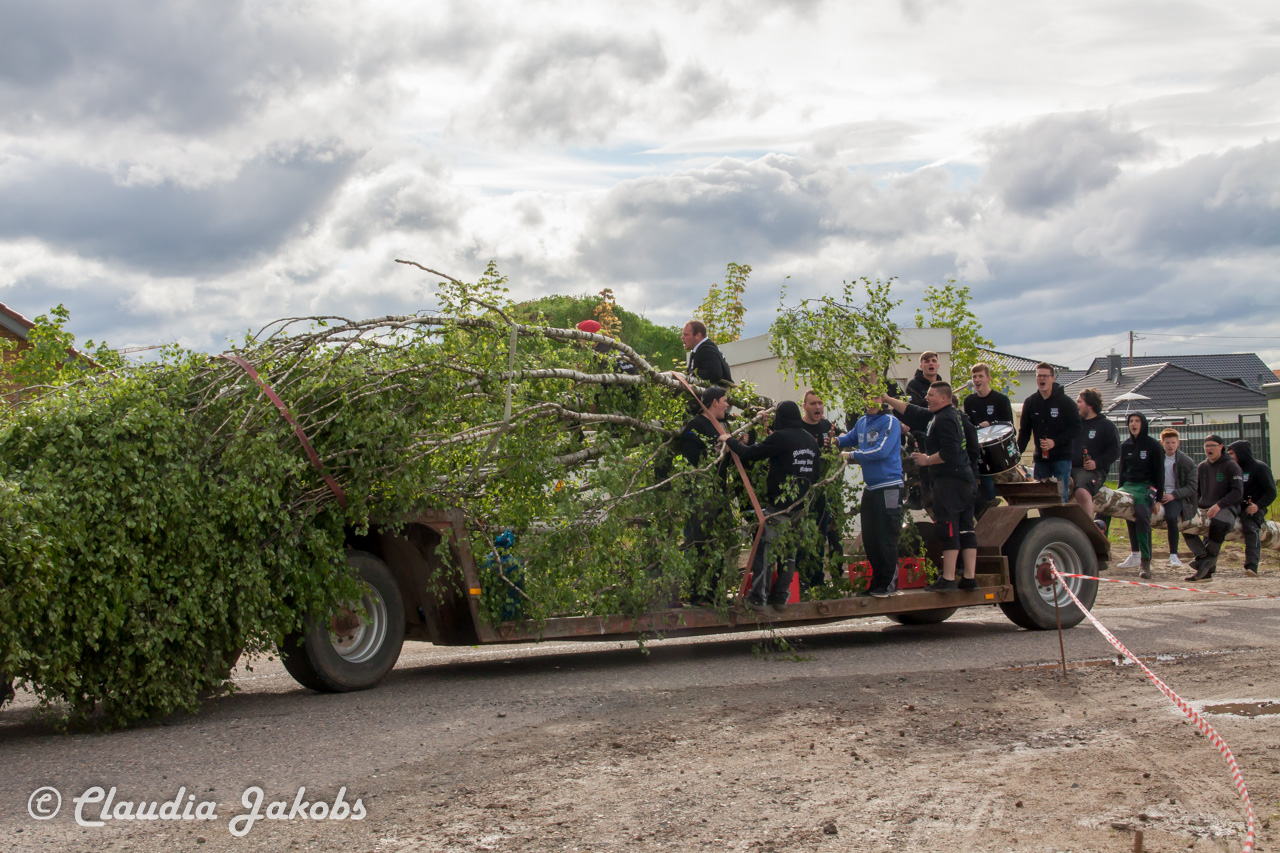 20180430175411 IMG 0803