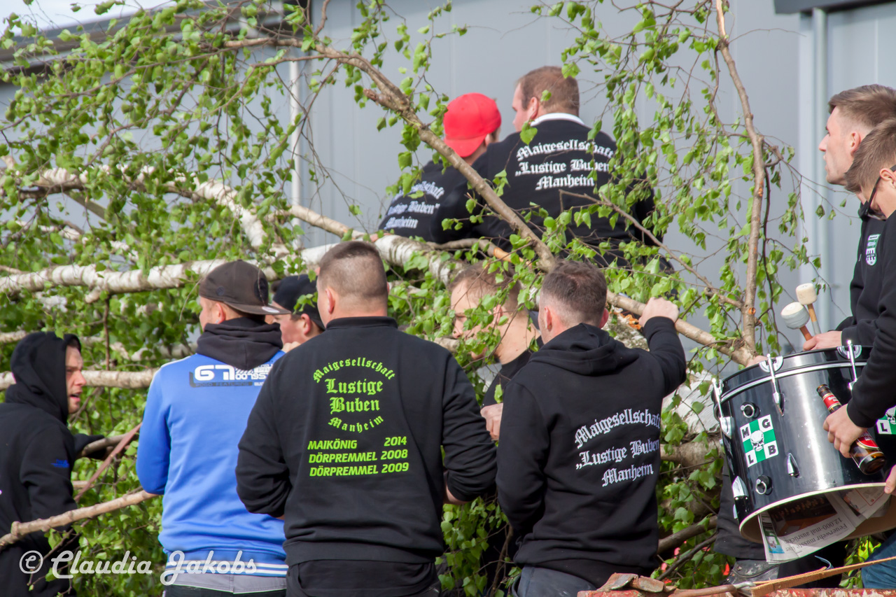 20180430175524 IMG 0822