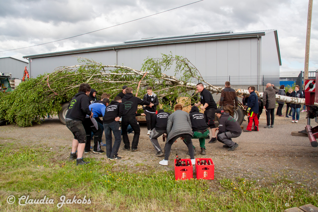 20180430175638 IMG 0828