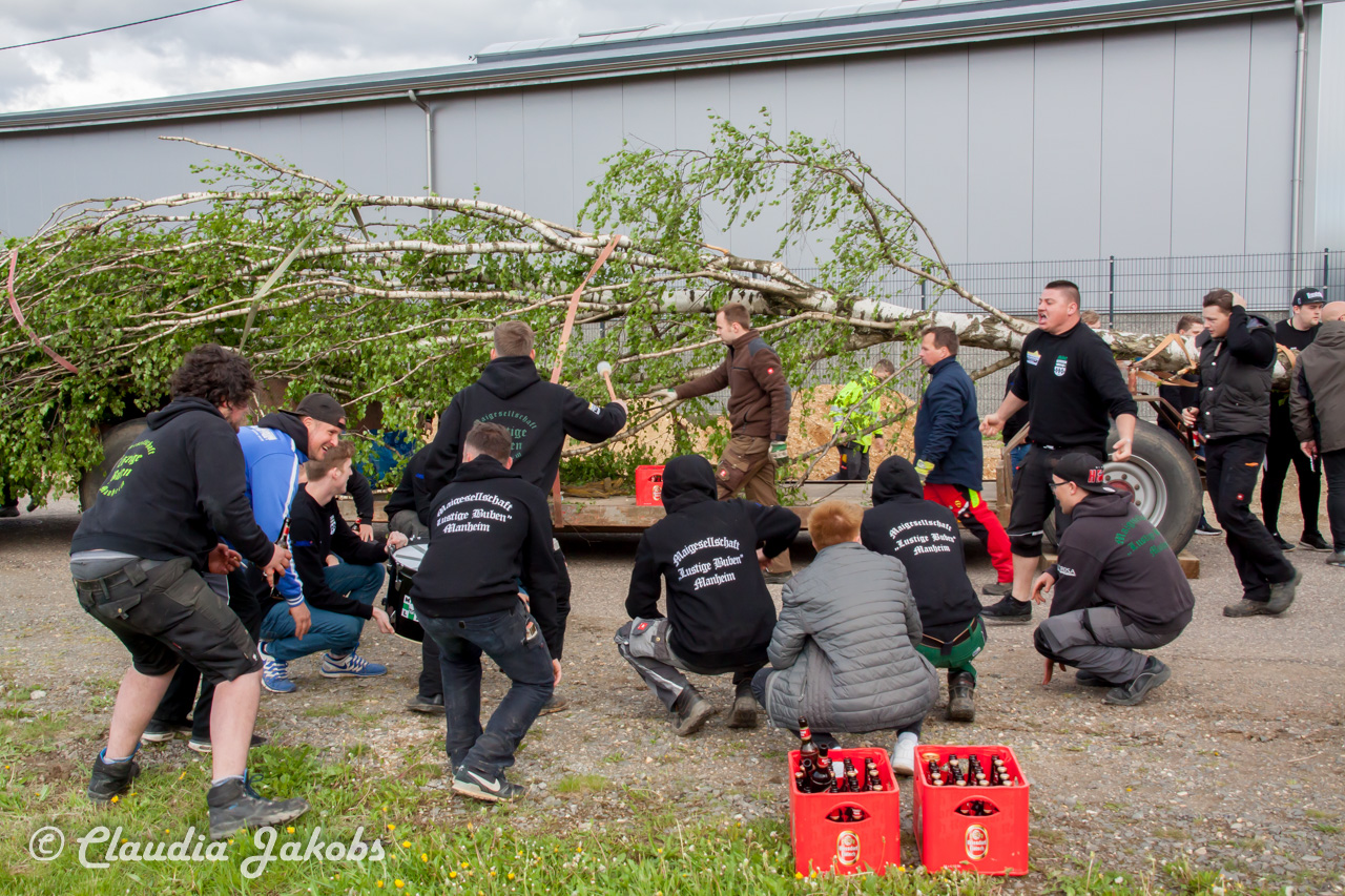 20180430175640 IMG 0829