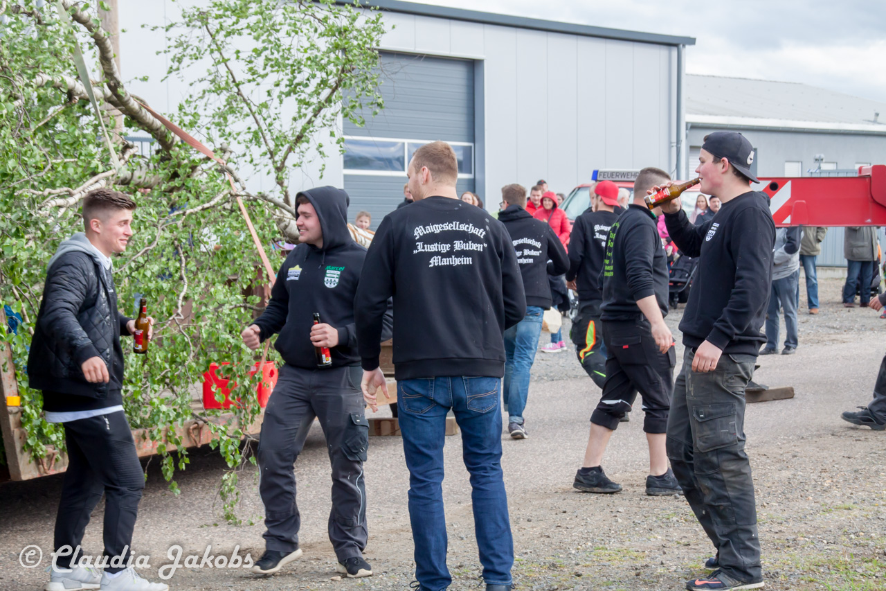 20180430175730 IMG 0842